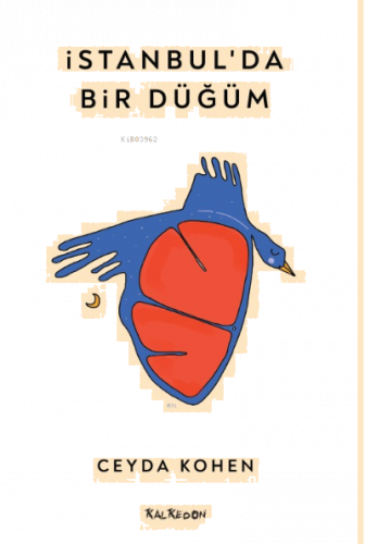 İstanbul'da Bir Düğüm