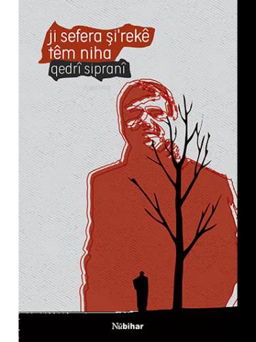 Ji Sefera Şi’rekê Têm Niha