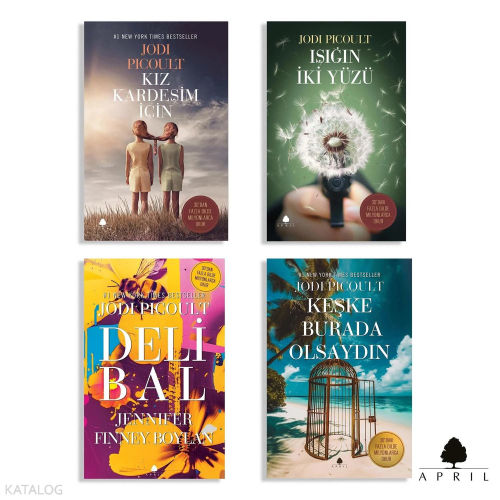 Jodi Picoult Seçkisi (4 Kitap)