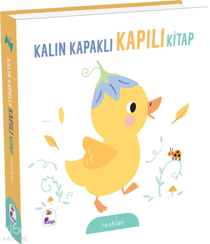 Kalın Kapaklı Kapılı Kitap - Renkler (Ciltli)