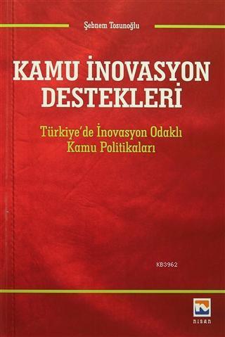 Kamu İnovasyon Destekleri; Türkiye'de İnovasyon Odaklı Kamu Politikaları