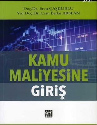 Kamu Maliyesine Giriş