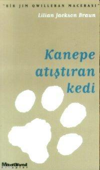 Kanepe Atıştıran Kedi