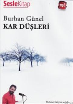 Kar Düşleri