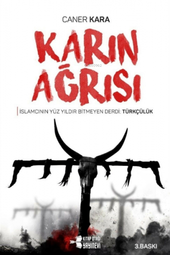 Karın Ağrısı