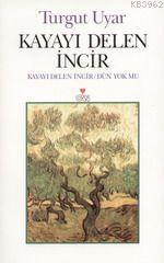 Kayayı Delen İncir