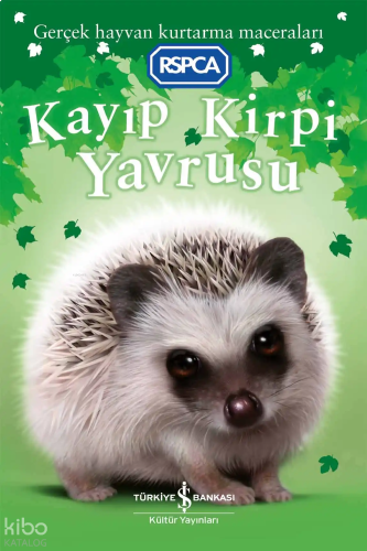 Kayıp Kirpi Yavrusu