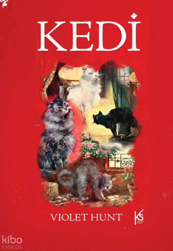 Kedi
