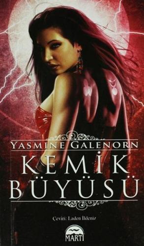Kemik Büyüsü (Özel Baskı); Ayın Kardeşleri Serisi 7. Kitap