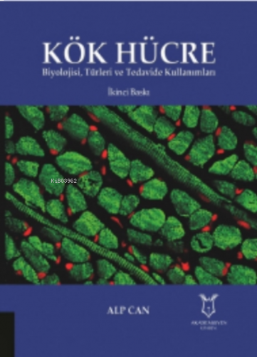 Kök Hücre Biyolojisi, Türleri ve Tedavide Kullanımları