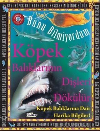 Köpek Balıklarının Dişleri Dökülür - Bunu Bilmiyordum Köpek Balıklarına Dair Harika Bilgiler!
