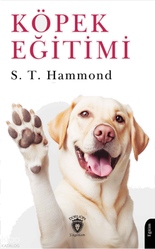 Köpek Eğitimi