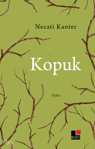 Köpük