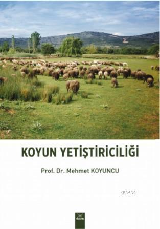 Koyun Yetiştiriciliği