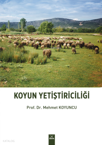 Koyun Yetiştiriciliği