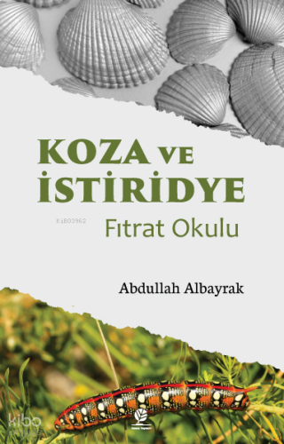 Koza ve İstiridye - Fıtrat Okulu