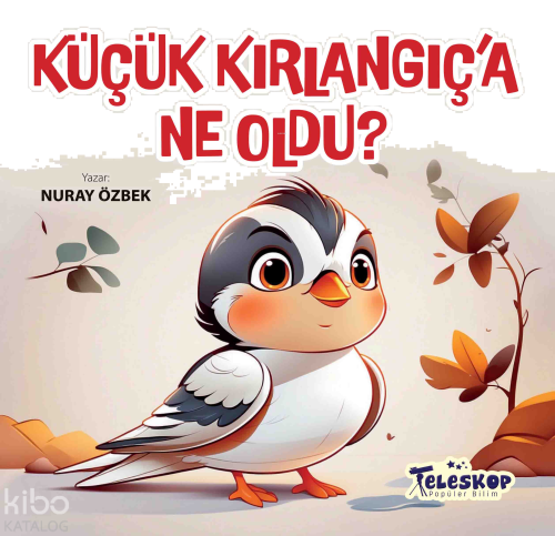 Küçük Kırlangıç'a Ne Oldu?