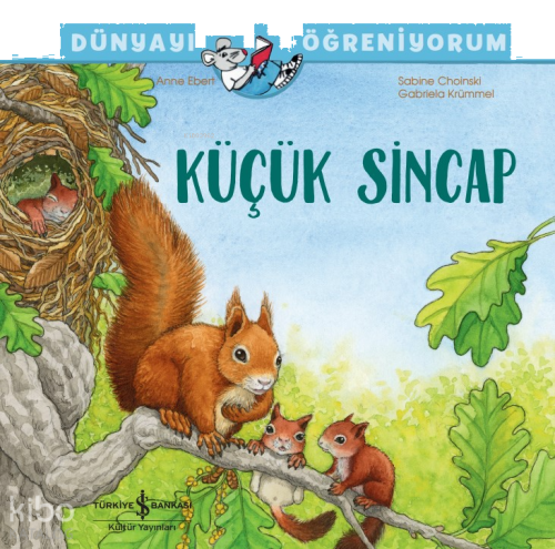 Küçük Sincap Dünyayı Öğreniyorum