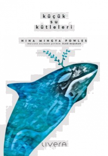 Küçük Su Kütleleri