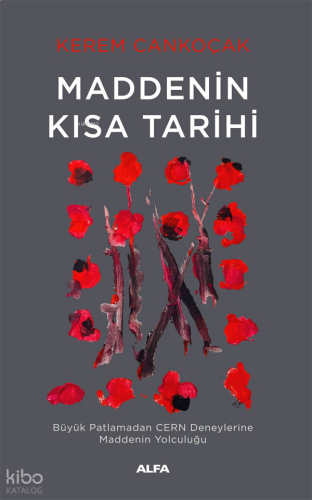 Maddenin Kısa Tarihi;Büyük Patlamadan Cern Deneylerine Maddenin Yolculuğu