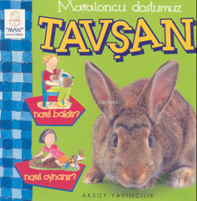 Maratoncu Dostumuz Tavşan