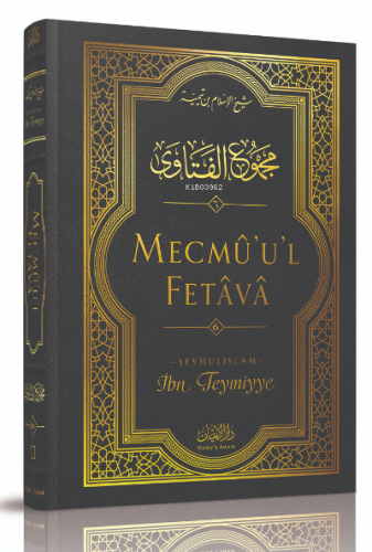 Mecmû'u'l-Fetâvâ (6. cilt)