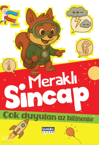 Meraklı Sincap