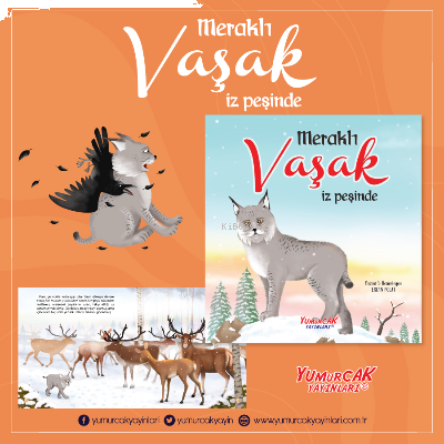 Meraklı Vaşak İz Peşinde