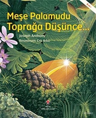 Meşe Palamudu Toprağa Düşünce...