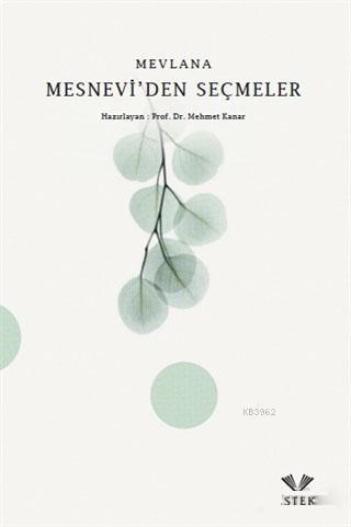 Mesnevi'den Seçmeler
