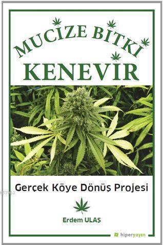 Mucizevi Bitki Kenevir Gerçek Köye Dönüş Projesi