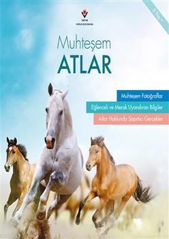 Muhteşem Atlar