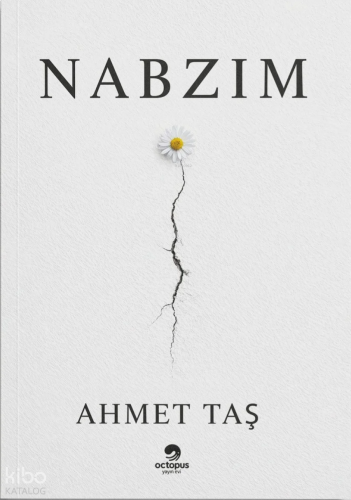 Nabzım