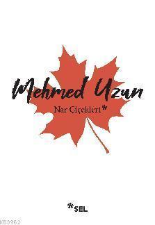 Nar Çiçekleri: Çok Kültürlülük Üstüne Denemeler