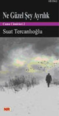 Ne Güzel Şey Ayrılık