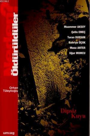 Neden Öldürüldüler? (3. Cilt); Dipsiz Kuyu