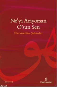 Ne'yi Arıyorsan O'sun Sen