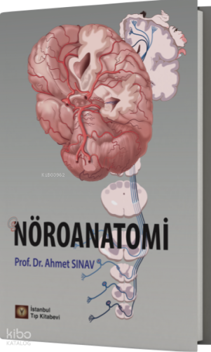 Nöroanatomi