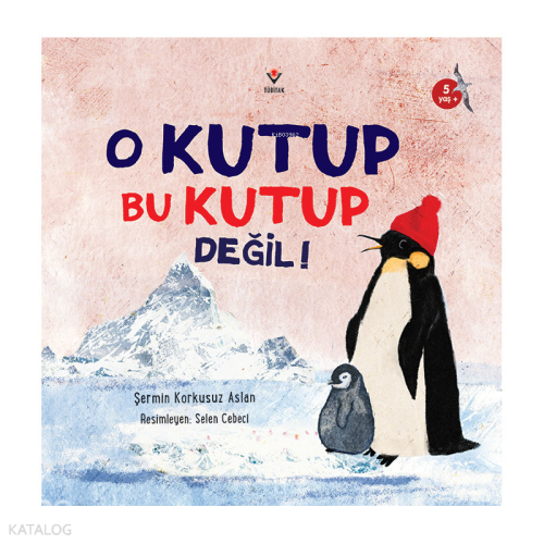 O Kutup Bu Kutup Değil!