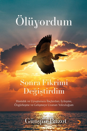Ölüyordum Sonra Fikrimi Değiştirdim;Hastalık ve Uyuşturucu İlaçlardan; İyileşme, Özgürleşme ve Gelişmeye Uzanan Yolculuğum