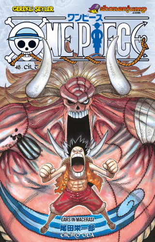 One Piece 48. Cilt