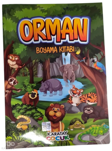 Orman Boyama Kitabı