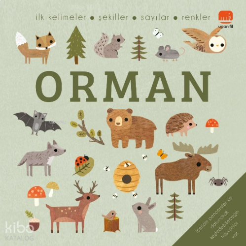 Orman;İlk Kelimeler - Şekiller - Sayılar - Renkler