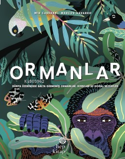 Ormanlar - Dünya Üzerindeki Balta Girmemiş Ormanlar, Korular ve Doğal Rezervler