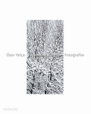 Özel Yelçe Yaşamda Alıntılar Fotoğraflar