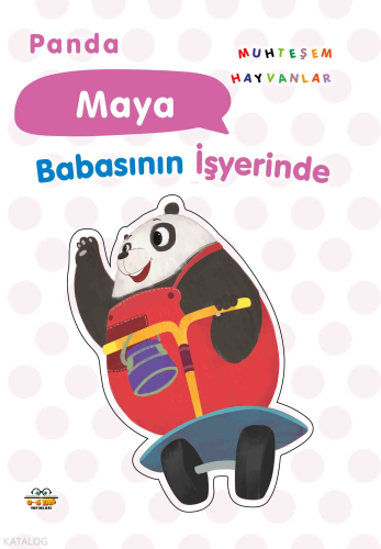 Panda Maya;Babasının İşyerinde
