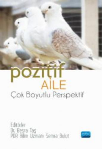 Pozitif Aile-Çok Boyutlu Perspektif