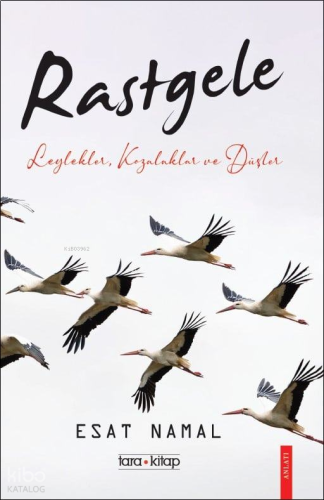 Rastgele;Leylekler, Kozalaklar ve Düşler