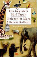 Ren Geyikleri Sörf Yapar, Kelebekler Mors Alfabesi Kullanır