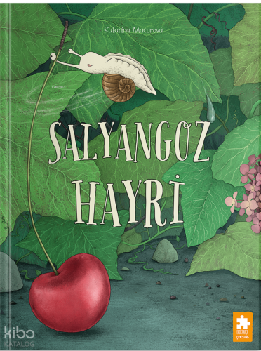 Salyangoz Hayri
